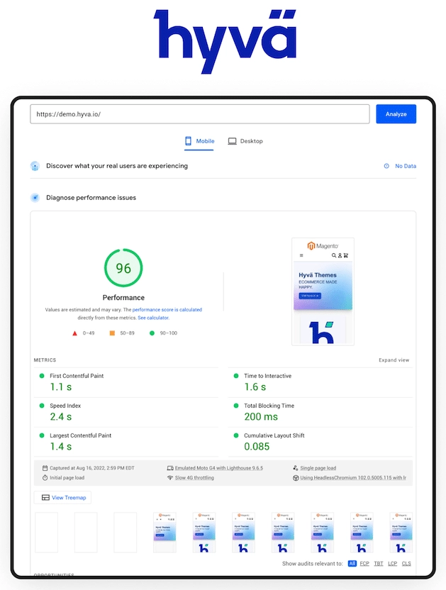 PageSpeed Insights score of an ecommerce website built with the Hyva theme