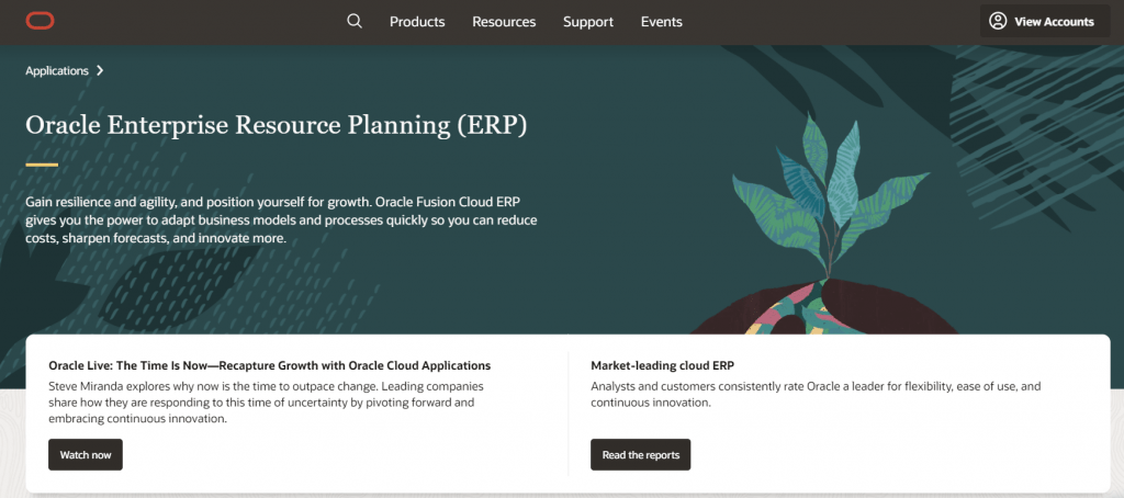 Oracle ERP