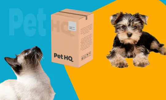 pethq